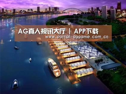 案例展示八