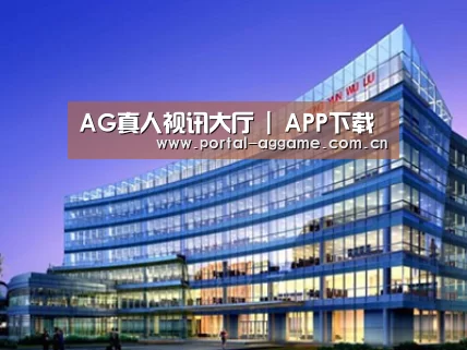 案例展示五