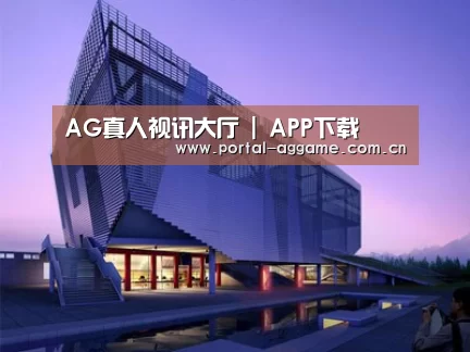 案例展示六