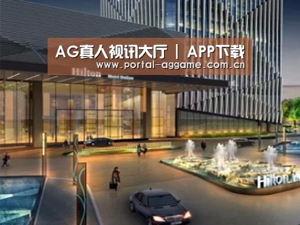 案例展示二