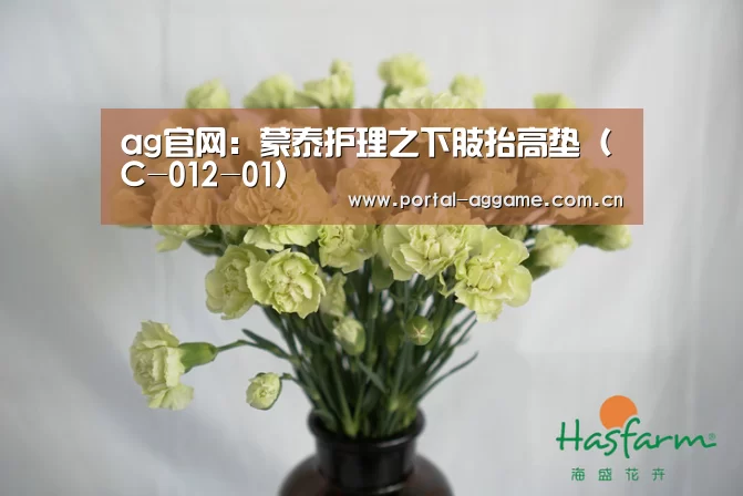 ag官网:蒙泰护理之下肢抬高垫(C-012-01)(图1) ag官网