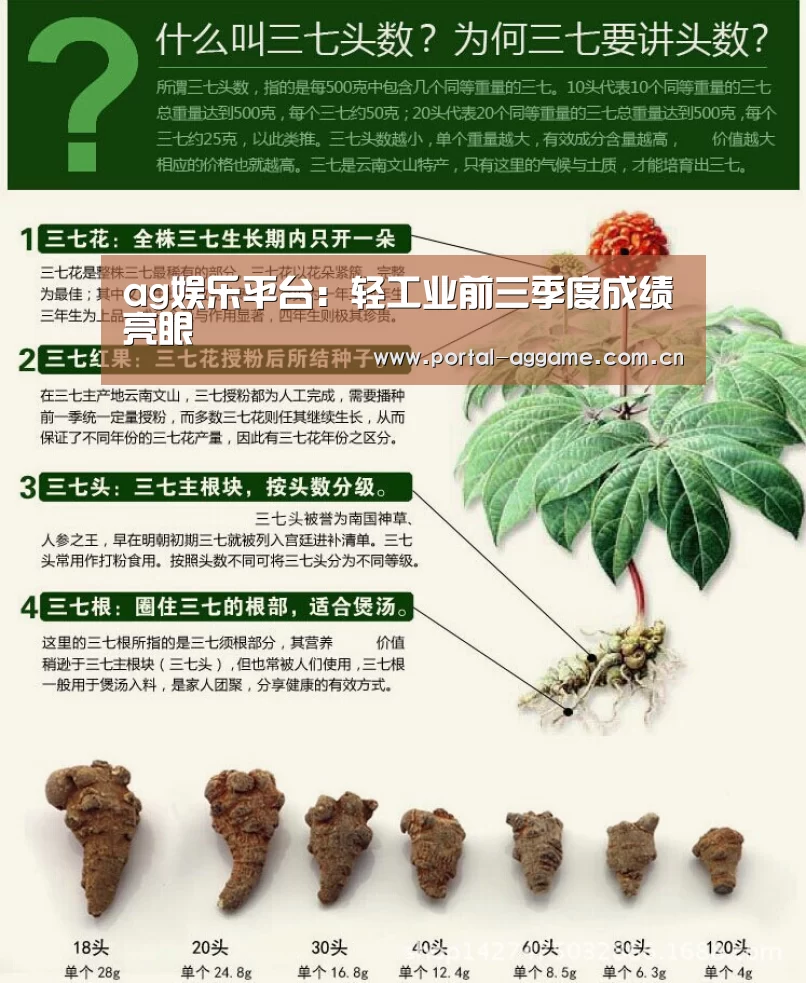 ag娱乐平台