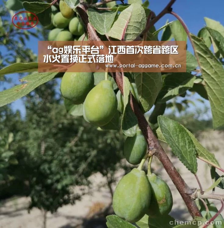 ag娱乐平台